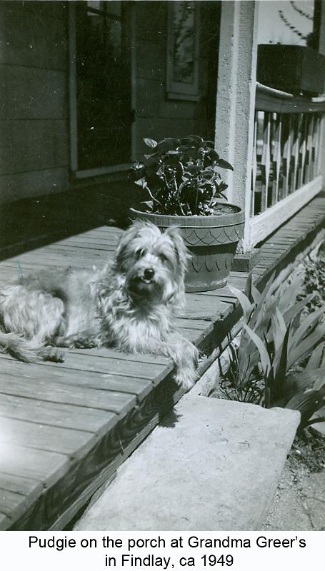 1949_Greer_dog_Pudgie