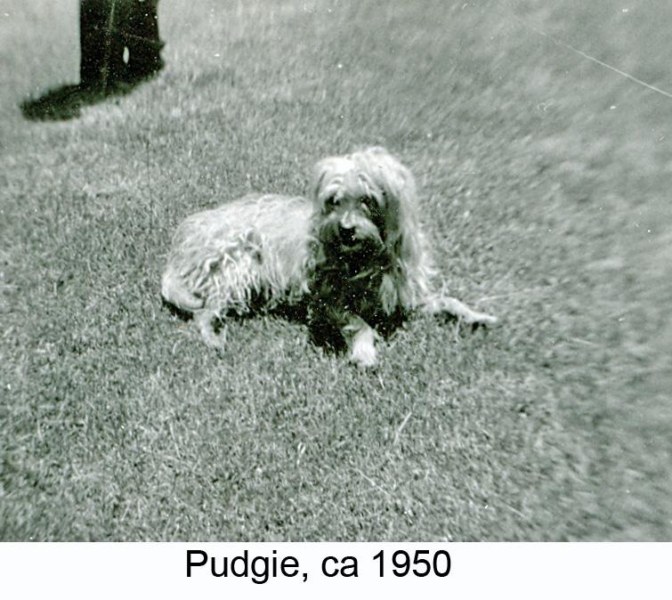 1950_Greer_dog_Pudgie