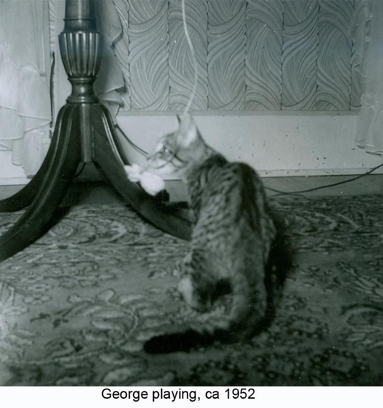 1952_Greer_cat_Geo