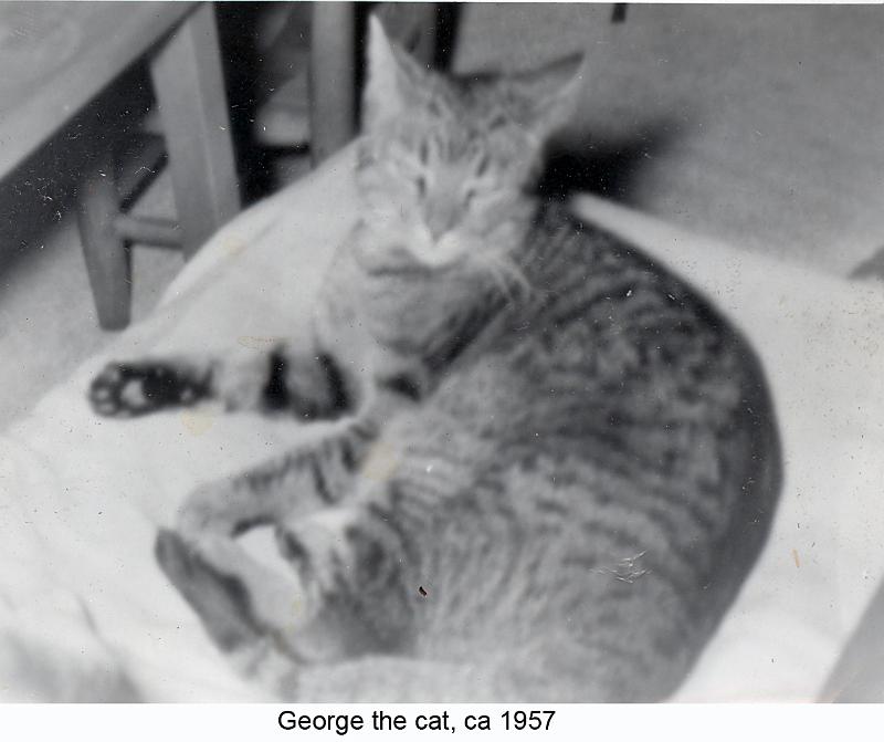 1957_Greer_cat_Geo-2