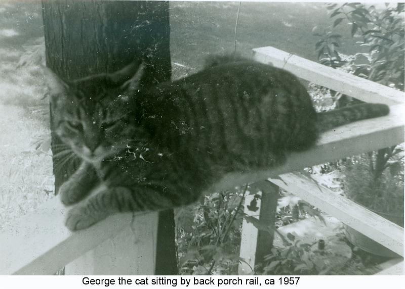 1957_Greer_cat_Geo-3