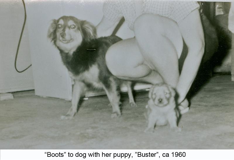1960_Greer_dog_Boots-1