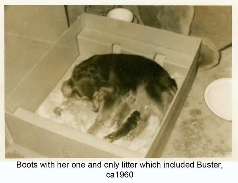 1960_Greer_dog_Boots-2