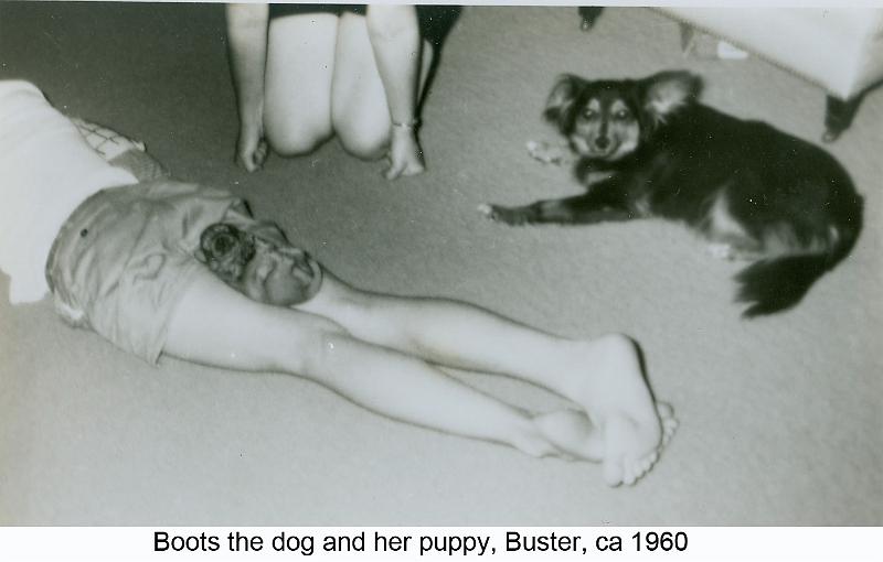 1960_Greer_dog_Boots-3