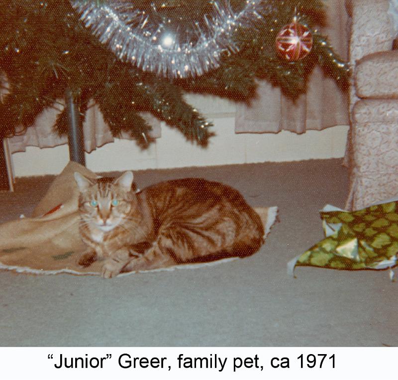 1971_Greer_cat_Junior