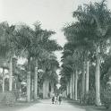 1940_Greer_FL_vac13