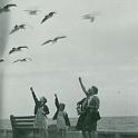 1940_Greer_FL_vac8