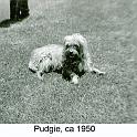 1950_Greer_dog_Pudgie