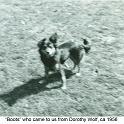 1956_Greer_dog_Boots