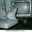 1957_Greer_cat_Rusty-1