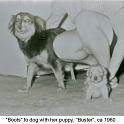 1960_Greer_dog_Boots-1