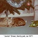 1971_Greer_cat_Junior