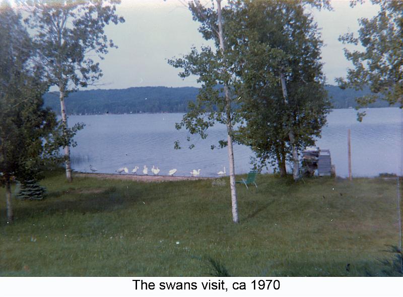 1970-2