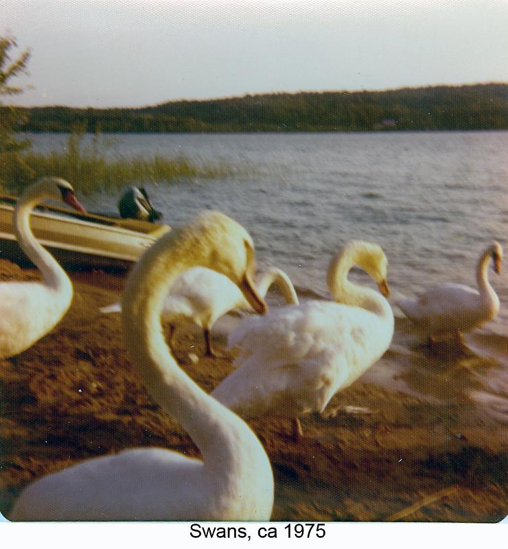 1975-7