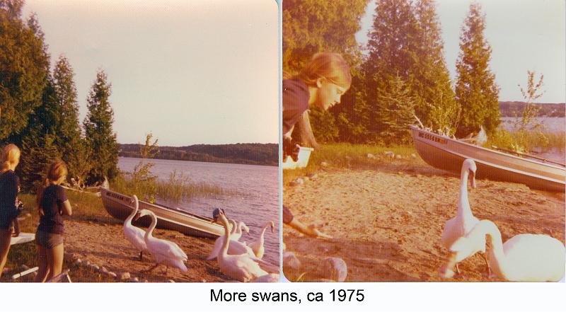 1975-9