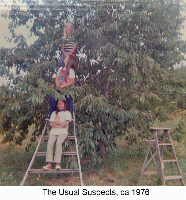 1976-3_Davis_Summers