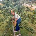 1974_Davis_Marg-2
