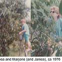 1976-4_Greer_Bea_Marge