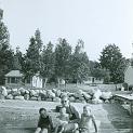 1963_Summers_Family-2