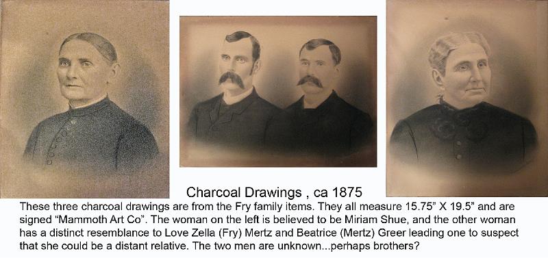 Fry_charcoal