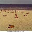 1970_07a_Aust_bondi