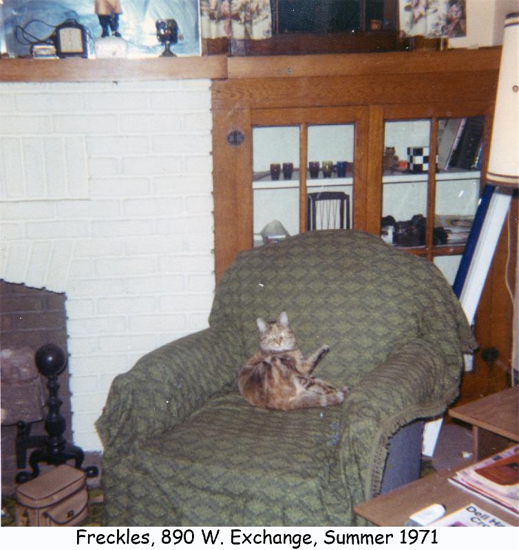 1971_39a_cat