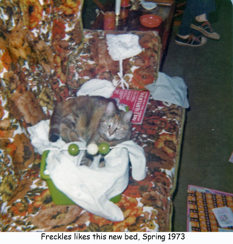 1973_13c1_cat