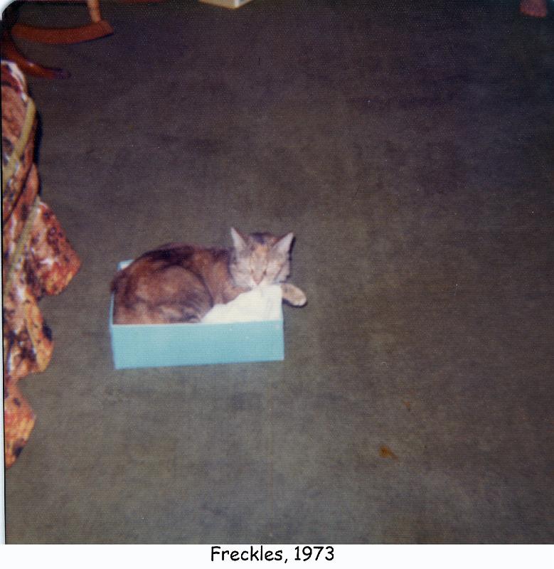 1973_13c2_cat