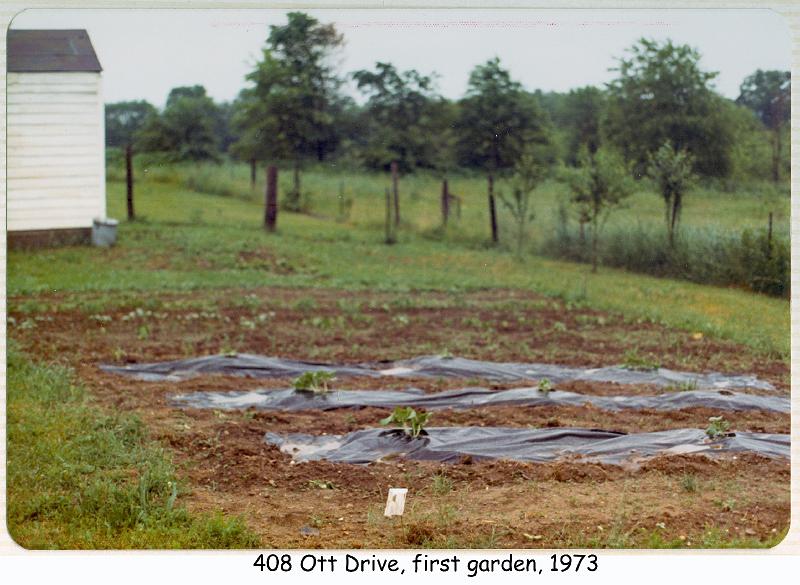1973_15_ott_garden