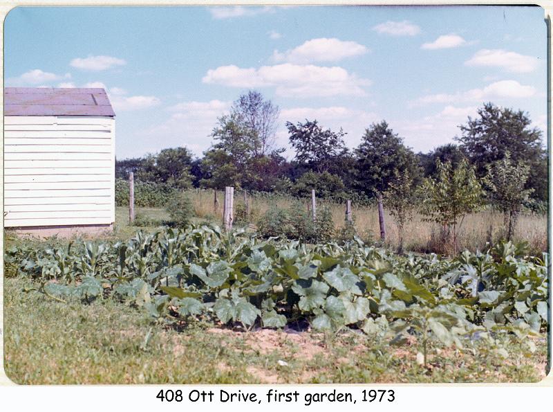 1973_16_ott_garden