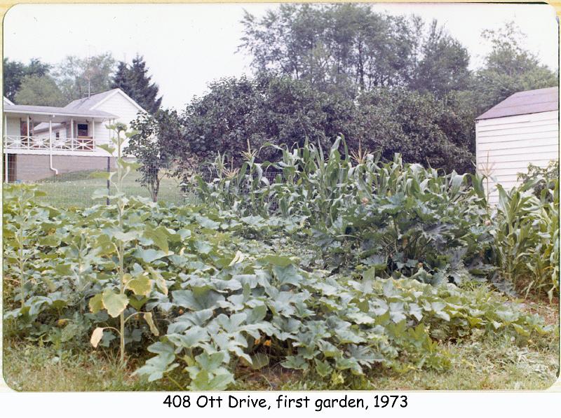 1973_26_ott_garden