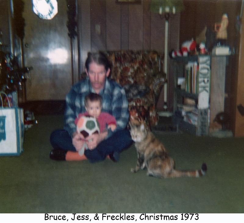 1973_59c_xmas_bg_jg_cat