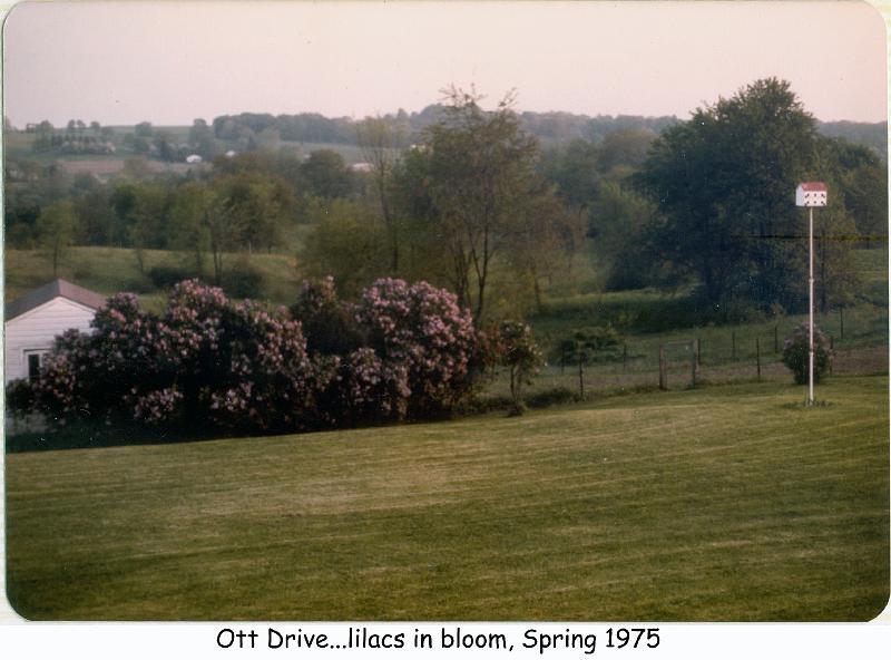 1975_6_ott_back_yard