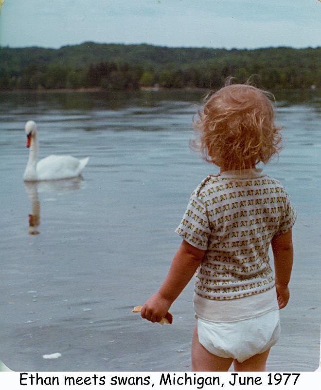1977_37_mich_eg