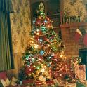 1979_55a_xmas_tree