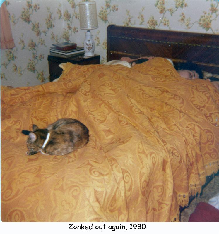 1980_09g_rg_eg_jg_cat