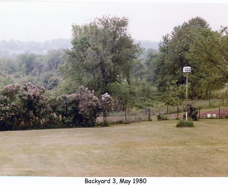 1980_26c_ott_panorama