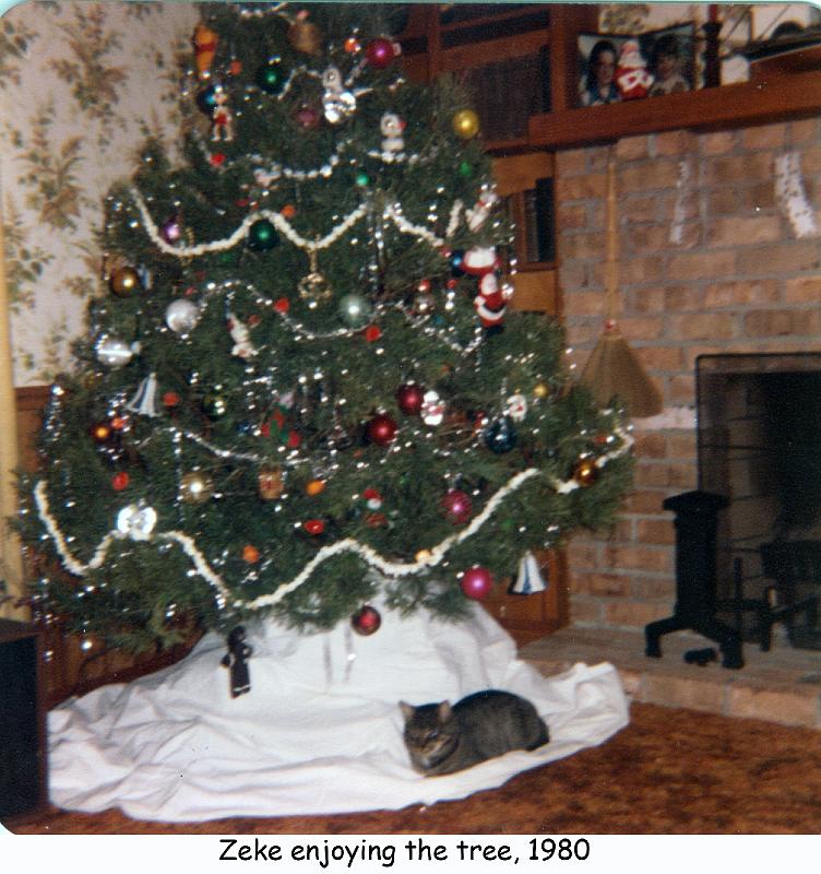 1980_57b_xmas_cat