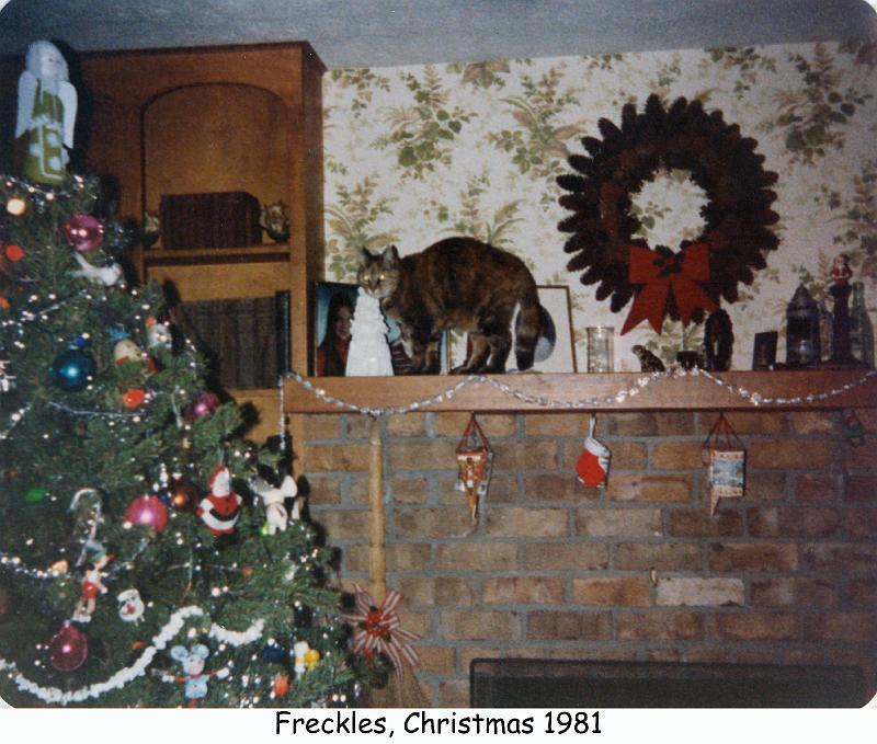 1981_98-1_xmas_cat