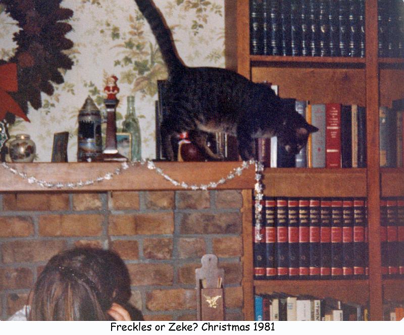 1981_98_xmas_cat