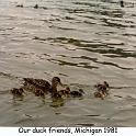 1981_63_mich_ducks