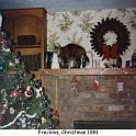 1981_98-1_xmas_cat