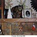 1981_98-1a_xmas_cat