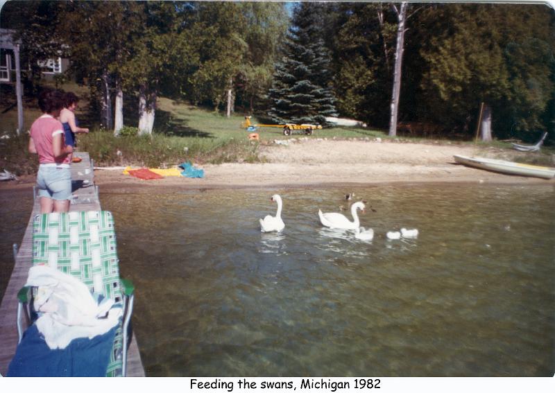 1982_54h_mich_rg