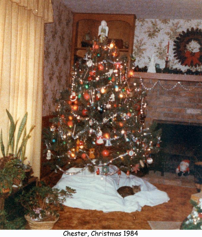 1984_110c_xmas_cat