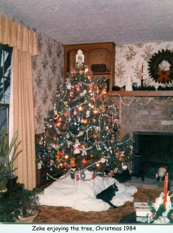 1984_110d_xmas_cat