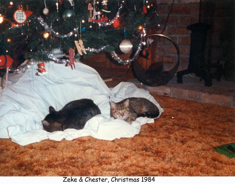 1984_110e_xmas_cat