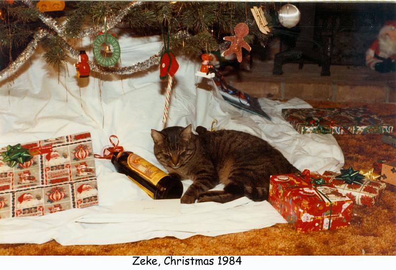 1984_115_xmas_cat