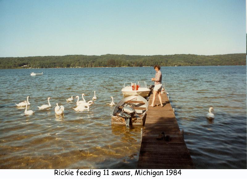 1984_42_mich_rg