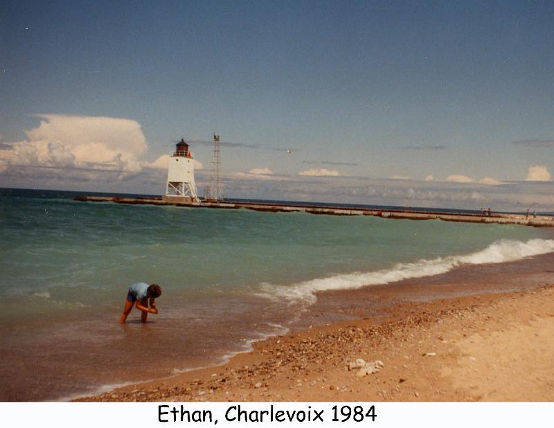 1984_46_mich_eg
